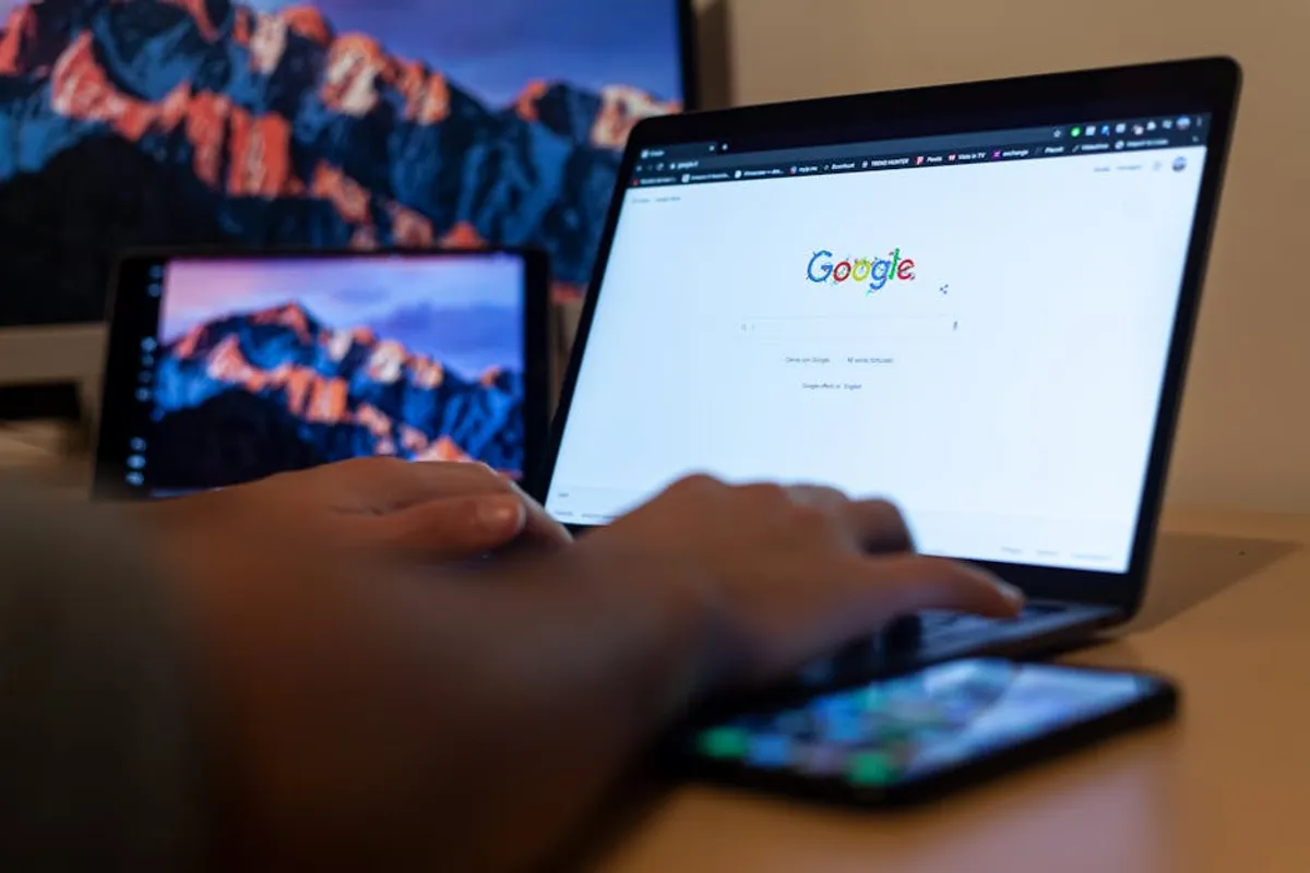 Behind the searches: why users look up metaottawa.com