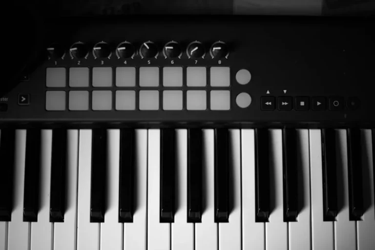 How Music Photography Captures a Live Performance